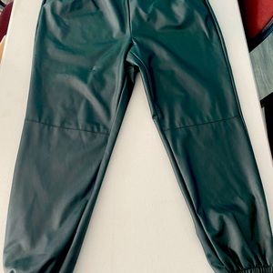 Ashley Stewart green leather faux pants